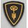 Driver, Specialists Patch