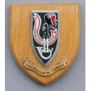 11me Regiment de Chasseurs Plaque