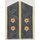 Vice Admiral, Shoulder Boards