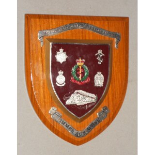 335 (BAOR) Ambulance Train RAMC (V) Plaque