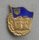 Good Knowledge Badge, 3. Type, gold