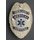 Emergency Medical Services Breast Badge