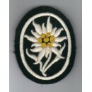 Patch, Mountain Troops (Gebirgsjäger)