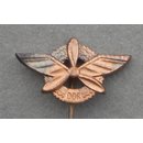 Motor-Flight Achievement Badge, bronze