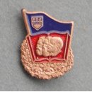 Badge For good Knowledge, 5.Type, bronze