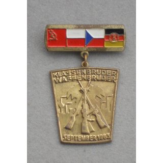 Brothers in Class - Brothers in Arms 1963 Maneuver Badge
