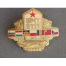 STIT 1972 Maneuver Badge