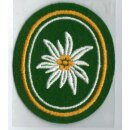 24th Armored Brigade Unit Insignia
