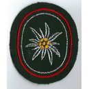 23rd Mountain Brigade Unit Insignia