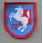 Fighter Squadron 72  Unit Insignia