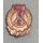Re-Building Pin 1960-68, bronze