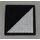 Light Dragoons TRF