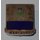 338th Infatry Regiment DUI