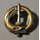 Brevet dEquipage Subaquatique, Combat Diver