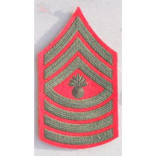 Master Gunnery Sergeant USMC Dienstrang