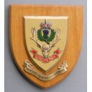 Queens Own Highlanders Plaque