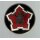 2nd Engineer Bn.
