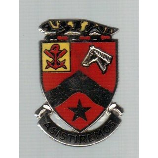 9th Engineer Bn.