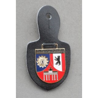 1st Auxiliary Police Division Breast Badge