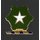 36th Infantry