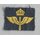 Air Force Sleeve Patch, Enlisted