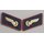 Red Collar Patches of the German Railways of the GDR