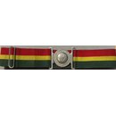 5th Royal Inniskilling Dragoon Guards Stablebelt