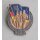 2nd Germany-Meeting of the FDJ - Berlin 1954