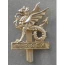 The Wessex Brigade Cap Badge