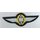 Activity Badge (Tätigkeitsabzeichen), Military Pilots