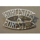 The Worcestershire and Sherwood Foresters Titles