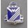 38th Infantry Regiment  DUI