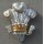 Royal Wiltshire Yeomanry Cap Badge