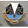 650th Military Intelligence Group  DUI