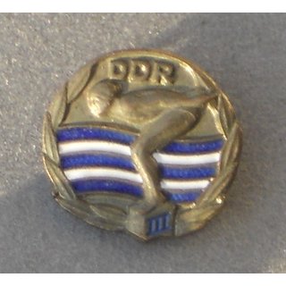 DSSV, Swimming Badge, Level III