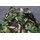 Feldhemd, Jacket, Combat Lightweight, Woodland DPM, Soldier 95, neu