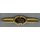 Engineers & NBC Classification Badge, Level II