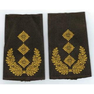 Lieutenant General / Vice Admiral