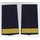 Lieutenant / Ensign