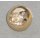Royal Horse Artillery Buttons