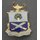 29th Infantry Regiment  DUI