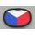 6th Special Operations Support Command