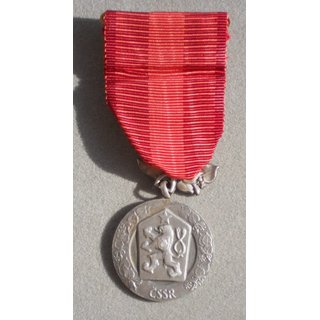 Medal of Merit for the Defense of the Homeland