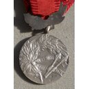 Medal of Merit for the Defense of the Homeland