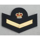 Trainees and Junior/Class Leader or PO Badge