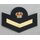 Trainee & Junior Class Leader or PO Badge