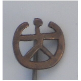 unknown Insignia 34