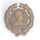 unknown Insignia 35