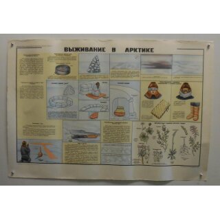 Poster12 of 12, Survival in the Arctic / Winter