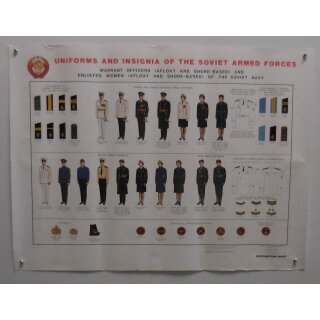 Chart 7 of  8, Warrant Officers & Enlisted Women